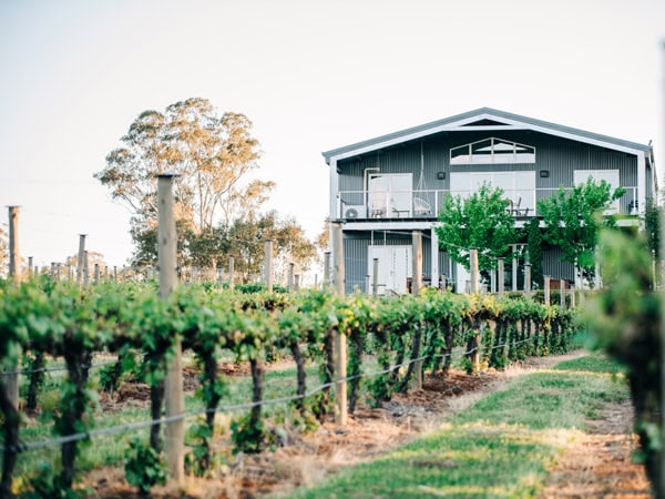 an accommodation surrounded by vines at Mortimer’s Wines
