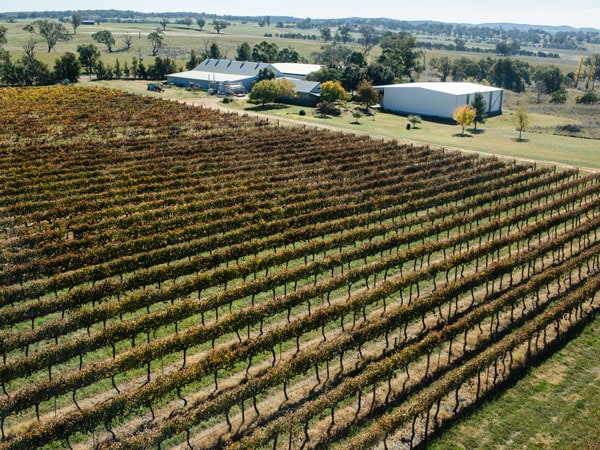an aerial view of the vineyard at Printhie Wines