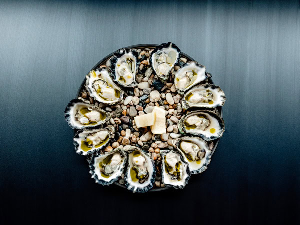 freshly shucked oysters at Printhie Wines