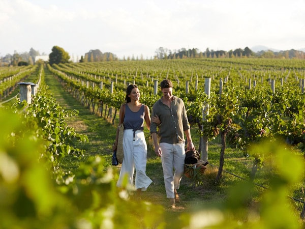 a couple walking along the scenic vineyard in Rowlee Wines