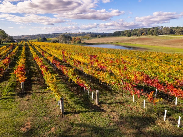 the view from the vineyard at Stockman’s Ridge Wines