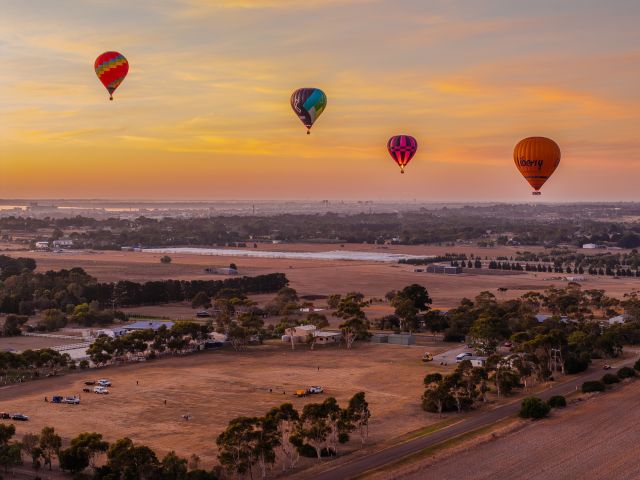 hot air balloons soaring above Geelong at sunset