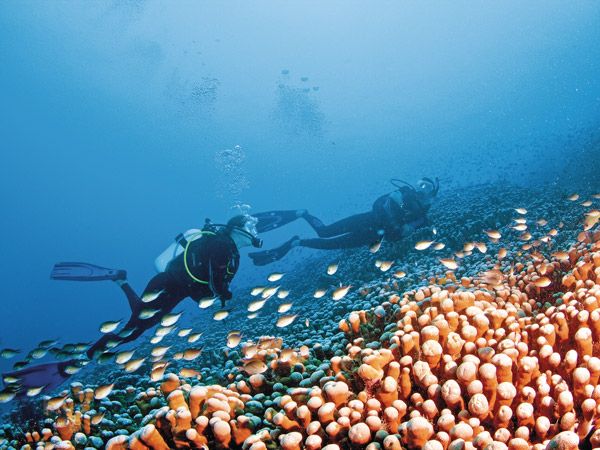 Where to dive and snorkel on the Great Barrier Reef