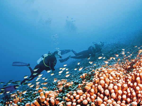 scuba divers exploring the Ribbon Reefs, Great Barrier Reef