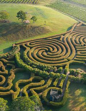 The best wineries and cellar doors in Port Macquarie