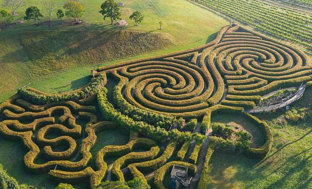 The best wineries and cellar doors in Port Macquarie