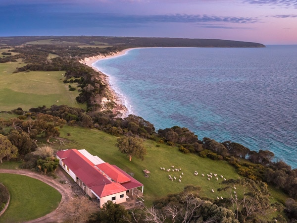 Aerial view of Antechamber Bay Retreats and the view of the ocean. 