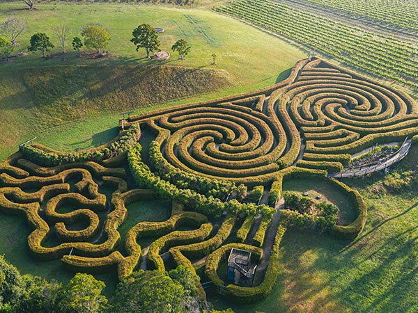 Bago Maze and Winery
