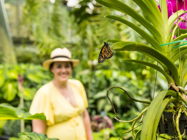 a woman in yellow admiring a butterfly