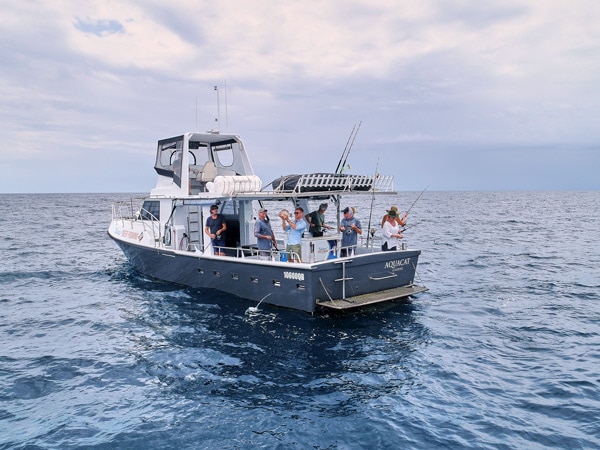 an aerial view of people fishing from Cairns Reef Fishing boat