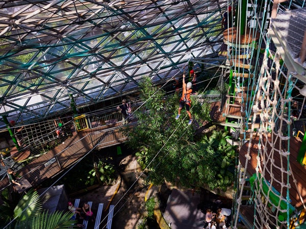 a person trying the zipline at Cairns ZOOM and Wildlife Dome