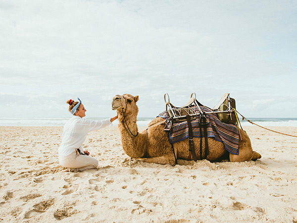 camels at Port Macquarie