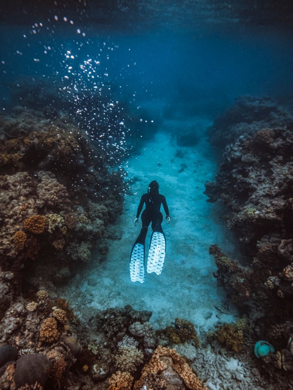 diving at Great Barrier Reef