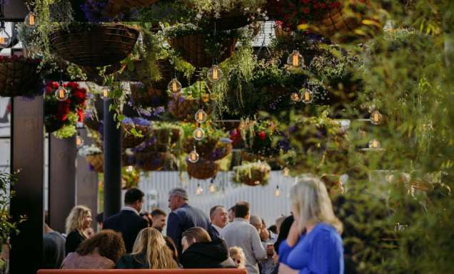 In the hanging garden