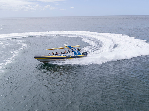 Port Jet Cruises at Port Macquarie