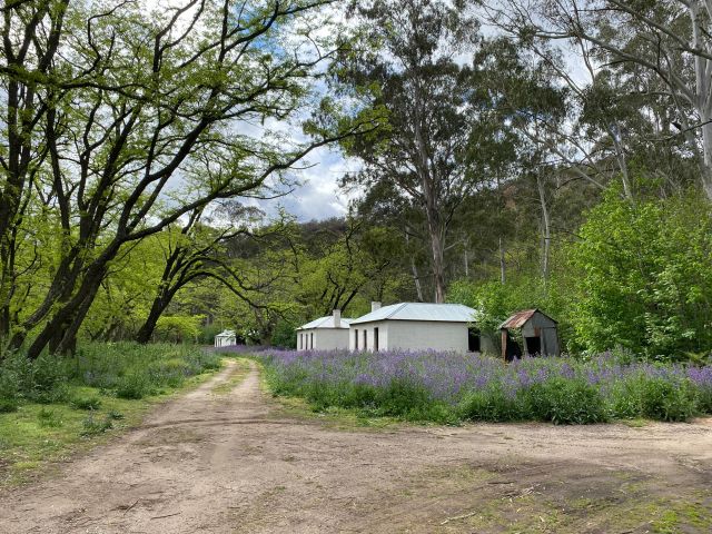 Joadja Estate, Southern Highlands wineries