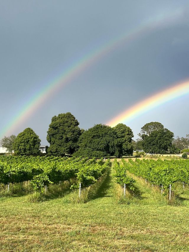 double rainbow at Dawning Day Estate vineyard, Southern Highlands wineries