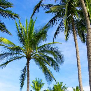 Hayman Island