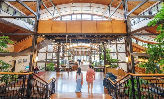 Kingfisher Bay Resort Lobby
