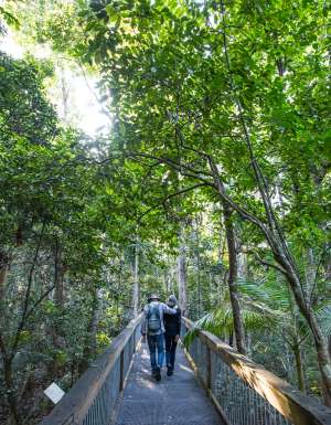Port Macquarie walks and hikes