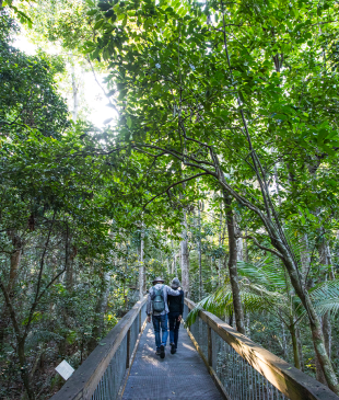 <p><i>8 breathtaking walks and hikes</i> in <strong>Port Macquarie</strong></p>
