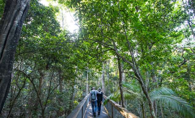 Port Macquarie walks and hikes