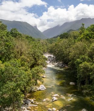 <p>13 of the <i>best things</i> to do in <strong>Port Douglas</strong></p>
