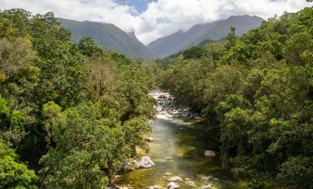 an aerial view of the Daintree River