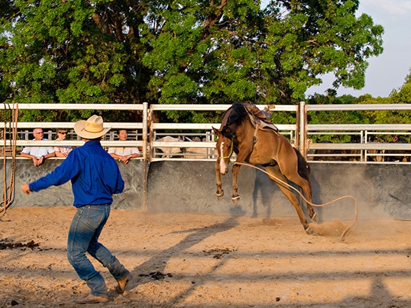 Experience the outback life