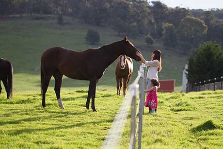 Farmstay Goulburn