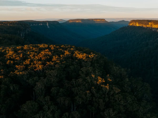 view of the lush escarpment at Morton National Park