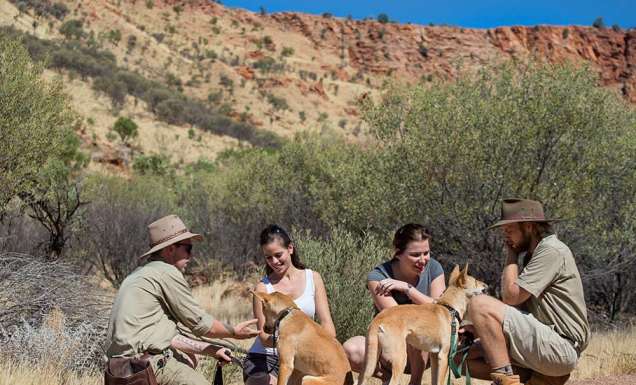 Woman standing on Jeep, Stockton Bight Sand Dunes