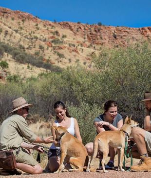 <p><i>7 tips for road tripping success</i> these holidays</p>
