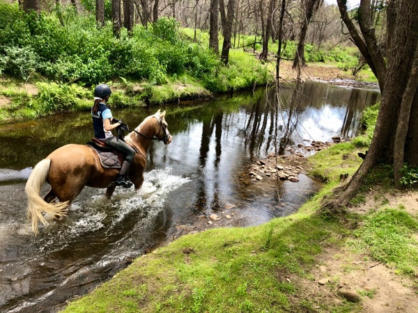 horse riding in the Kangaroo Valley