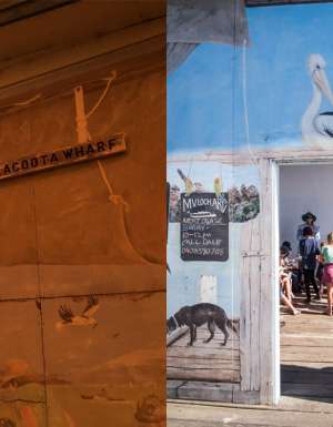 Mallacoota during and after the fires