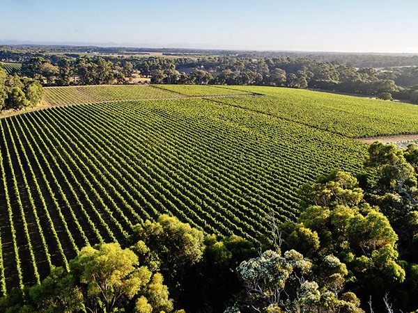 Wineries of Margaret River