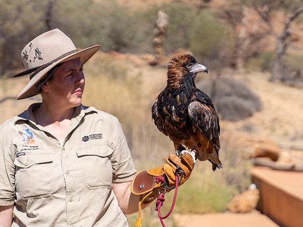 Ranger holding a wedge-tailed eagle