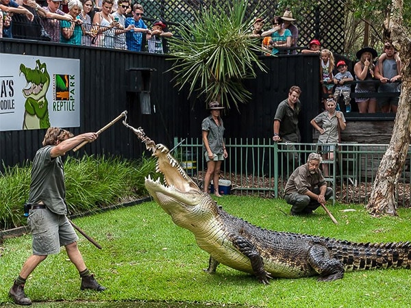 The Australian Reptile Park Central Coast