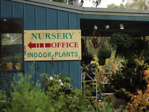 the nursery office for indoor plants in The Village Green Nursery