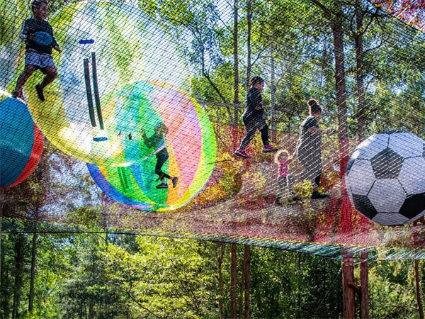 Treetop Networld Central Coast