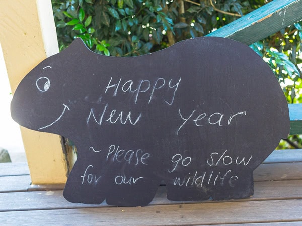 a Happy New Year greeting with a reminder to go slow for our wildlife in Kangaroo Valley
