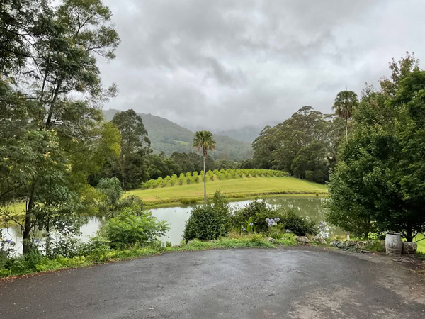 the scenic landscape of Yarrawa Estate Vineyard