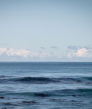 <p><i>A photo essay</i> of a secluded summer in <strong>Tasmania</strong></p>
