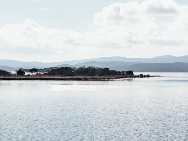 Mallacoota’s Wild Harvest Seafood Festival