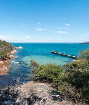 <p><i>The ultimate guide</i> to an <strong>Aussie</strong> summer</p>
