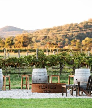 <p><i>The only</i> <strong>Mudgee</strong> wineries guide you’ll ever need</p>
