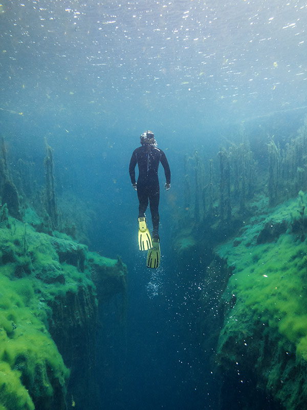 diving Piccaninnie Ponds
