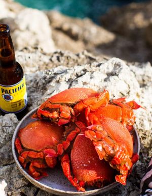 Kara Rosenlund captures the essence of a summer in Queensland.