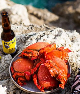 <p><i>A magical summer photo essay</i> in <strong>Queensland</strong></p>
