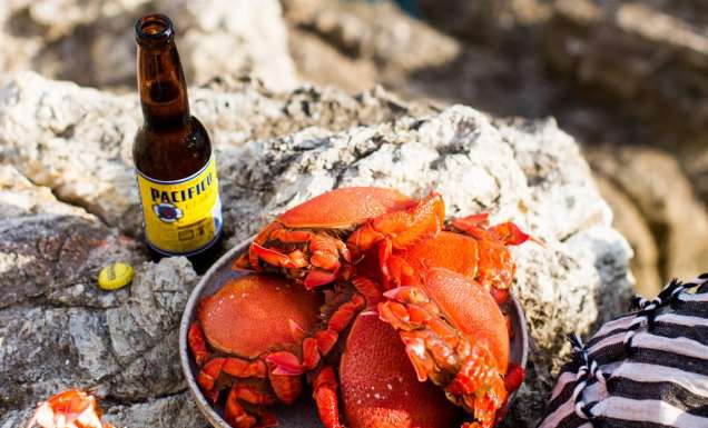 Kara Rosenlund captures the essence of a summer in Queensland.